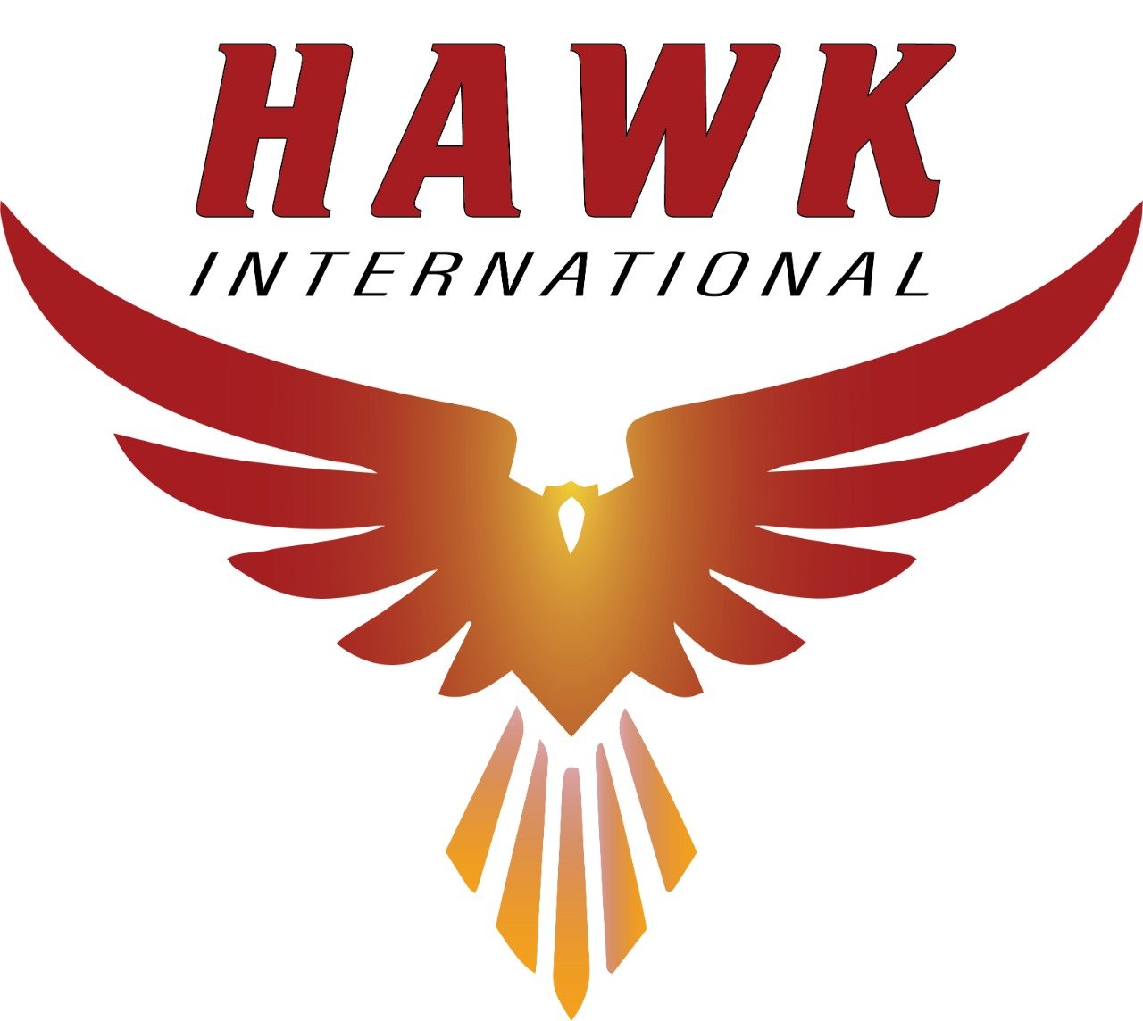 hawkinternational.synergistixstudio.com
